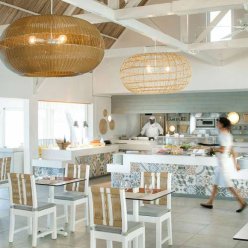 TROPICAL ATTITUDE 3★