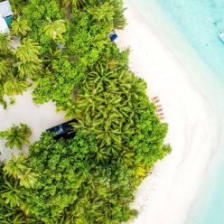 SEASON PARADISE 4★