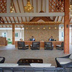 BRENNIA KOTTEFARU 5★