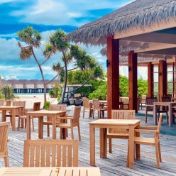 BRENNIA KOTTEFARU 5★