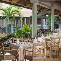 IBEROSTAR SELECTION BAVARO SUITES 5★