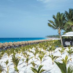 RIU REPUBLICA (tikai pieaugušajiem) 4★