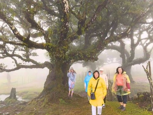 Vulkānu un ziedu sala - Madeira