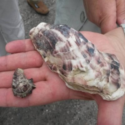 Normandija un Bretaņa GARANTĒTS