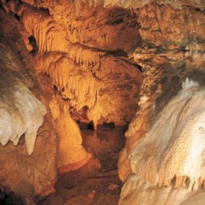 Zelta rudens Slovākijā skolu brīvlaikā un Krakova GARANTĒTS