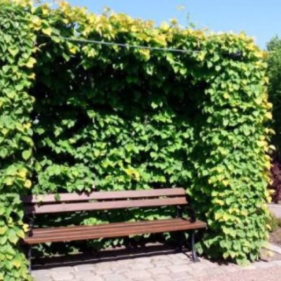 Dienvidpolijas un Varšavas dārzos un parkos GARANTĒTS