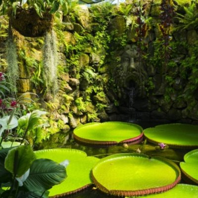 Itālijas mūžzaļais dārzs Iskijas sala un vienmēr dzīvā Neapole GARANTĒTS