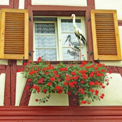 Franču dzīves šarms Elzasā GARANTĒTS