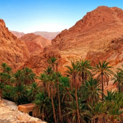 Kartāgas drupās, tuksnesī un liedagos - Tunisija