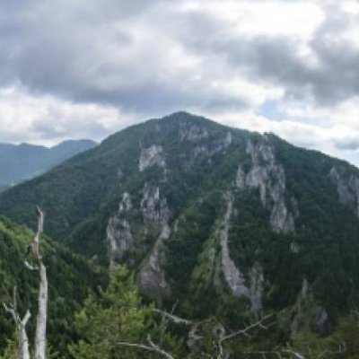 Vēl bildes