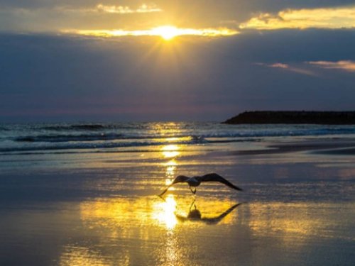 Portugāle gar gleznaino okeāna krastu  ГАРАНТИРОВАННО