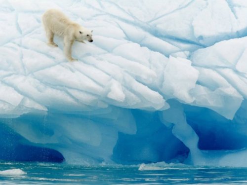 Zemes ziemeļu mala - Arktiskā Svalbāra (Špicbergena) ГАРАНТИРОВАННО