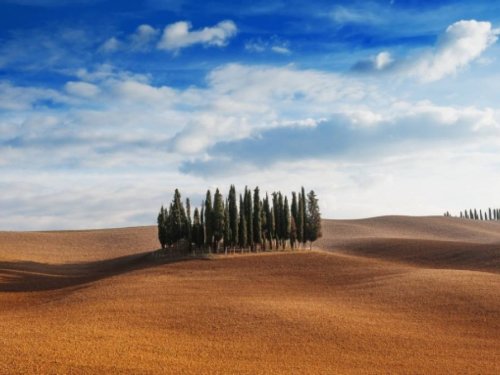 Toskāna un Elbas sala ГАРАНТИРОВАННО