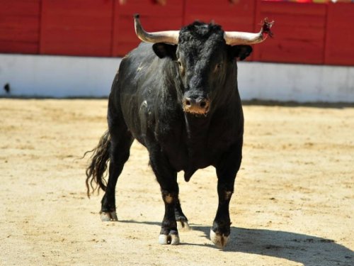 Atpūta Vidusjūras piekrastē Costa del Sol GARANTĒTS
