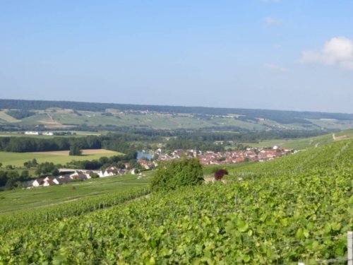Mozeles ieleja, Šampaņa, Luksemburga un ziemeļu Venēcija - Brige GARANTĒTS