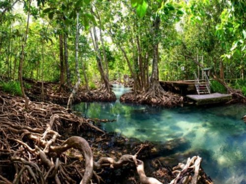 Ziemassvētki Malaizijā un Jaunais gads Taizemes salās - Puketa un Krabi ar ielūkošanos džungļos