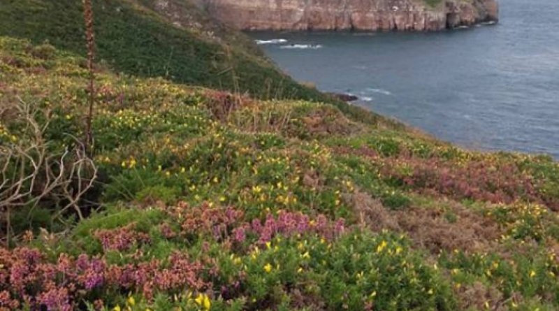 Normandija un Bretaņa GARANTĒTS