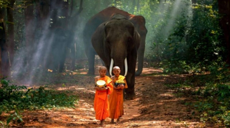 Taizemes kūrortu pērles - Puketa, Krabi, Koh Lanta ar ielūkošanos džungļos GARANTĒTS