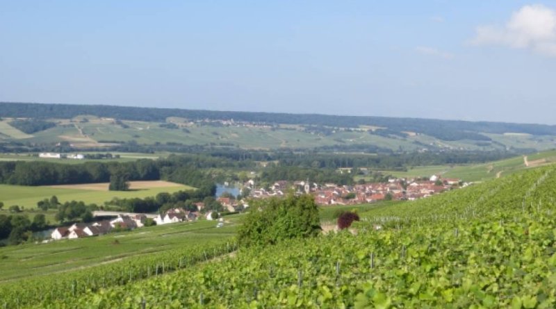 Mozeles ieleja, Šampaņa, Luksemburga un ziemeļu Venēcija - Brige GARANTĒTS