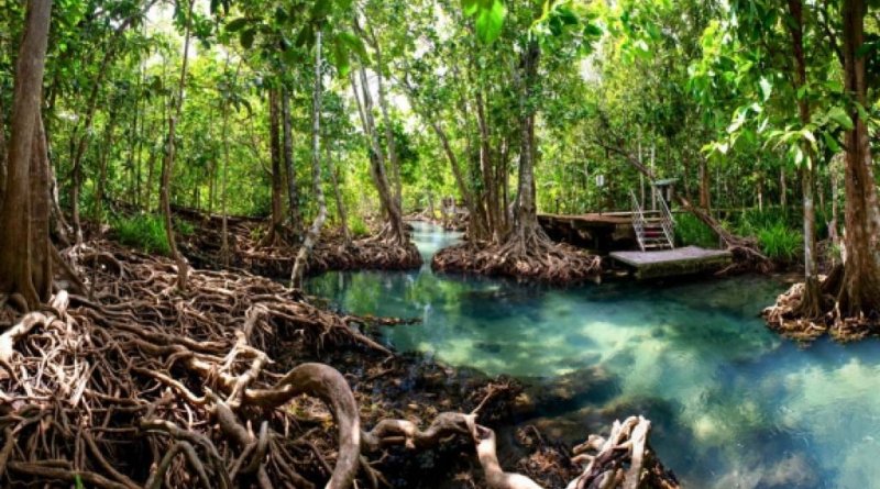 Ziemassvētki Malaizijā un Jaunais gads Taizemes salās - Puketa un Krabi ar ielūkošanos džungļos