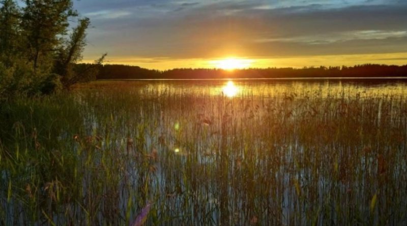 Augšdaugava